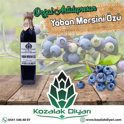 Yabanmersini Özü